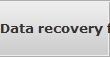 Data recovery for Coon Rapids data