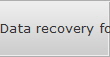 Data recovery for Coon Rapids data